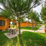Arda * Qerret (Tirana)