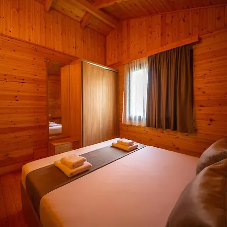 Arda * Qerret (Tirana)