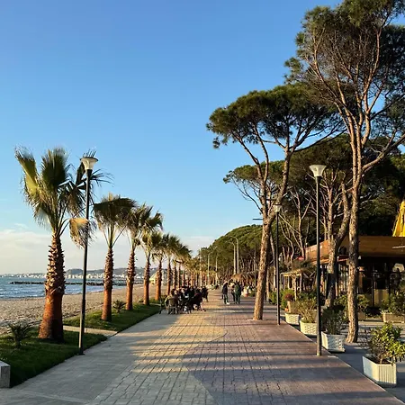 Arda * Qerret (Tirana)