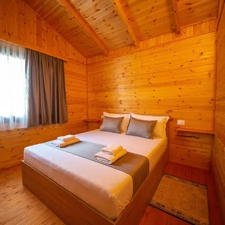 Arda Qerret (Tirana)