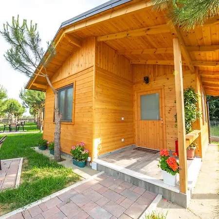 Arda * Qerret (Tirana)