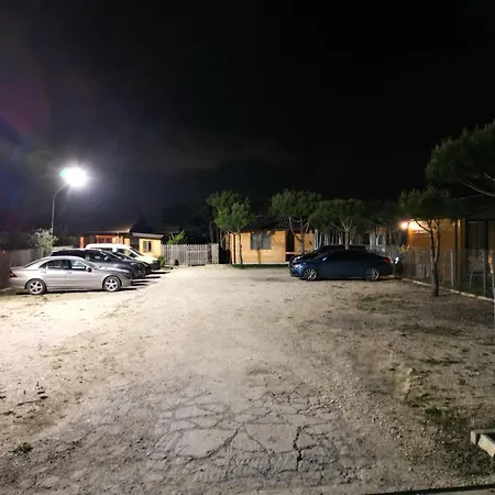 Arda * Qerret (Tirana)
