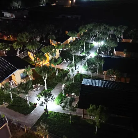 Arda Qerret (Tirana)