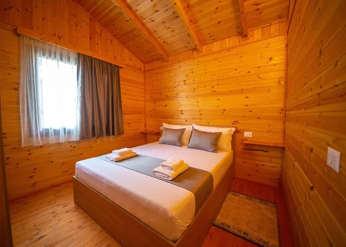 Arda Qerret (Tirana)